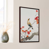 Silkehale på rød efterårs-løn, ca. 1910