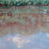 Lille sø med åkander, 1903