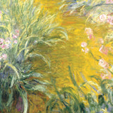 Sti gennem iris, 1914-1917