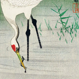 Trane på lavt vand, ca. 1920