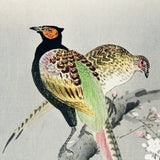 Grønne fasaner på kirsebærtræ, ca. 1920