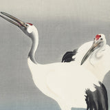 To traner i stille vand, ca. 1915