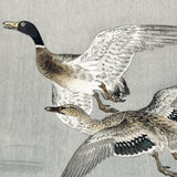 Ænder over vand, ca. 1915