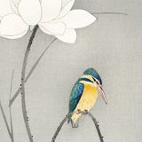 Isfugl og lotusblomst, ca. 1915