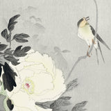 Svale og pæon, ca. 1920