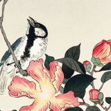 Kvædebusk og musvit, ca. 1915