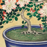 Blomstrende azalea i blå potte, ca. 1925