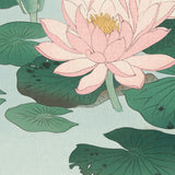 Nøkkeroser i stille vand, ca. 1925