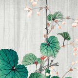 Begonie i regnvejr, ca. 1915