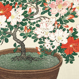 Blomstrende azalea i brun potte, ca. 1920