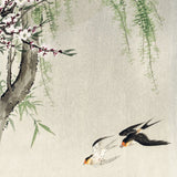 Kirsebærblomster, pilegrene og svaler, ca. 1915