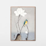 Isfugl og lotusblomst, ca. 1915