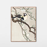 Musvitter i træ, ca. 1905