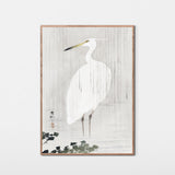 Silkehejre i regnvejr på hvid baggrund, ca. 1915