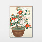 Blomstrende azalea i brun potte, ca. 1920