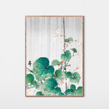 Begonie i regnvejr, ca. 1915