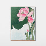 Blomstrende lotus, ca. 1925