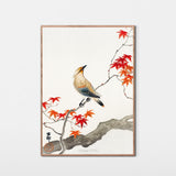 Silkehale på rød efterårs-løn, ca. 1910