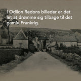 Stilleben med blomster, 1905