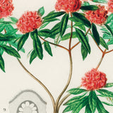 Rhododendron fra Nepal