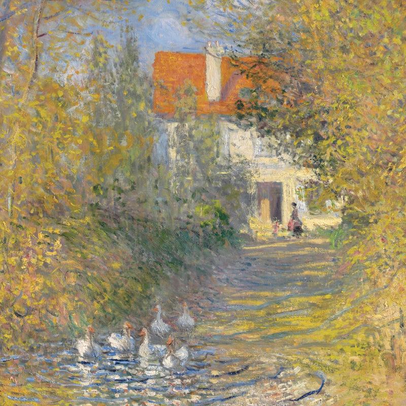 Gæs, 1874
