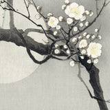 Japansk abrikos og fuldmåne, ca. 1910