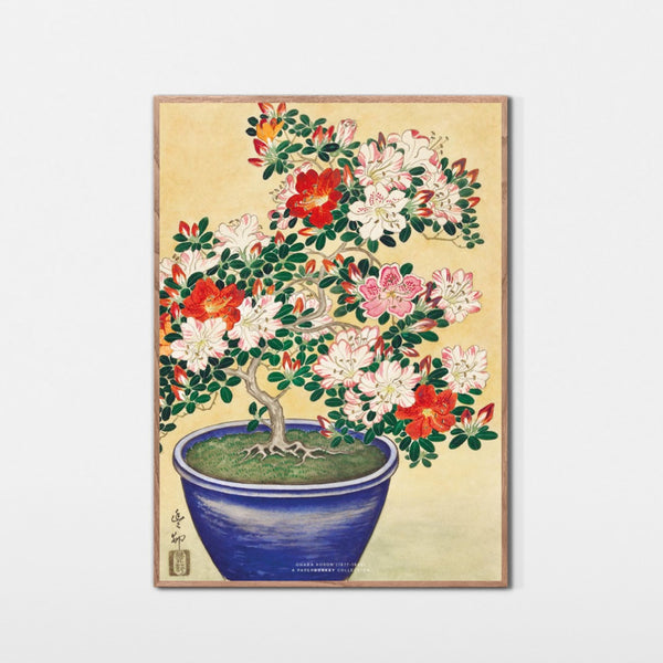 Blomstrende azalea i blå potte, ca. 1925